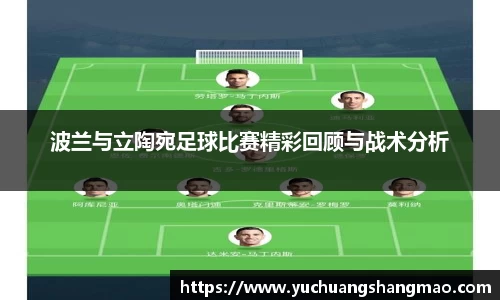 波兰与立陶宛足球比赛精彩回顾与战术分析